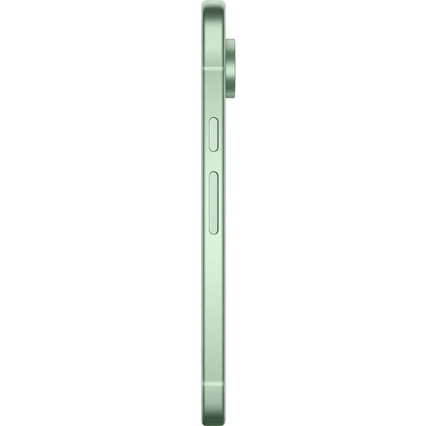 Смартфон Google Pixel 9 12/128 ГБ, Wintergreen UK
